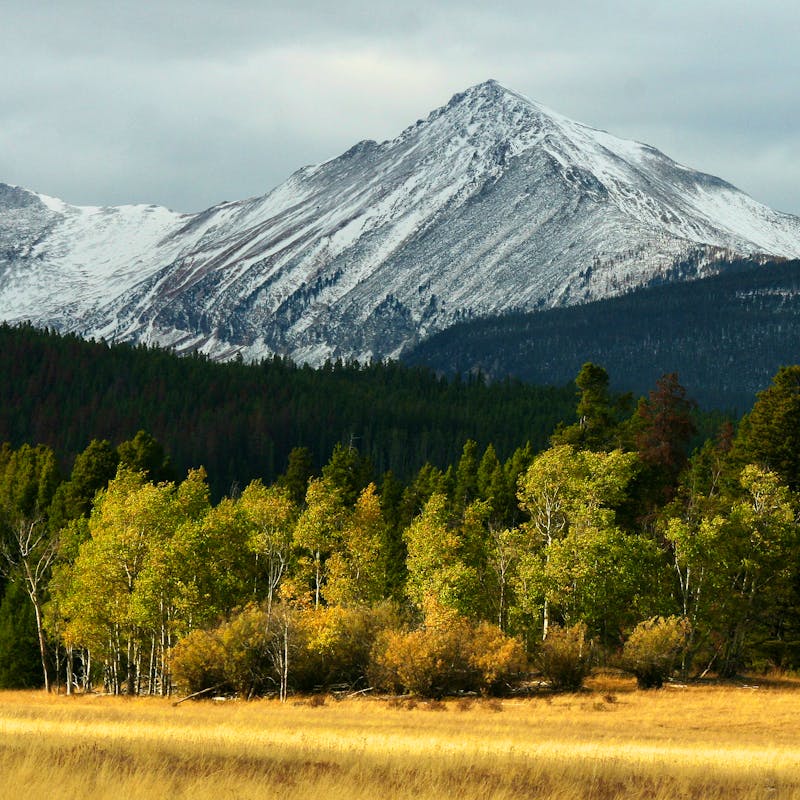 Mount Haggin Wildlife Area Montana