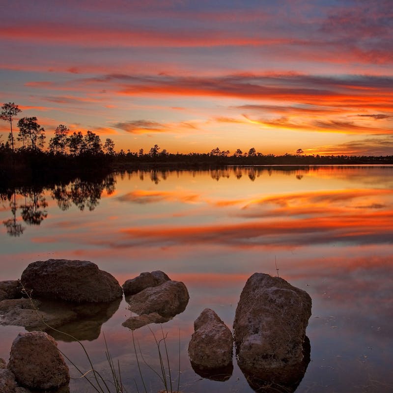 Everglades Sunset - Pine Glades Lake - Everglades National Park - Florida