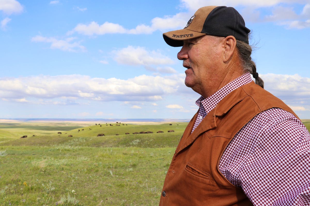 Robbie with bison in the background
