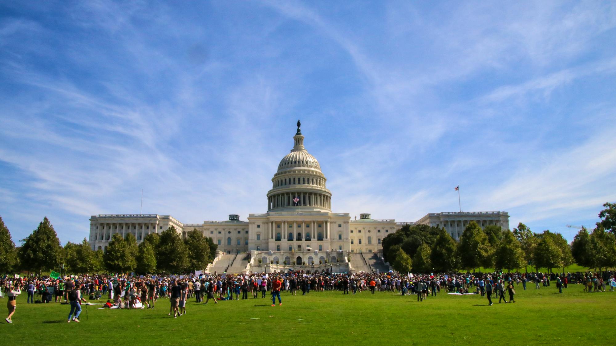 Climate Strike DC Wide Shot Capitol Lawn