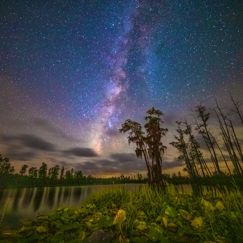 Milky way in the night sky Okefenokee NWR