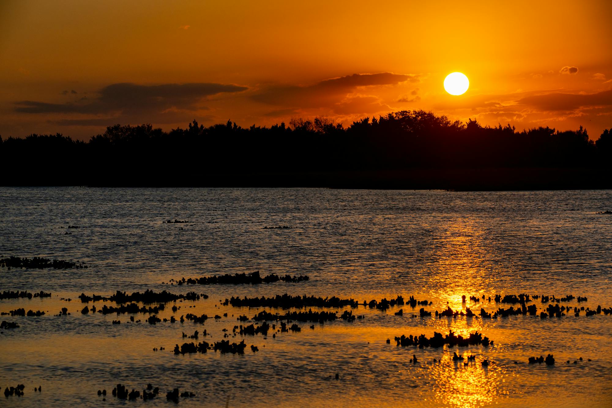 Florida Sunset - Florida