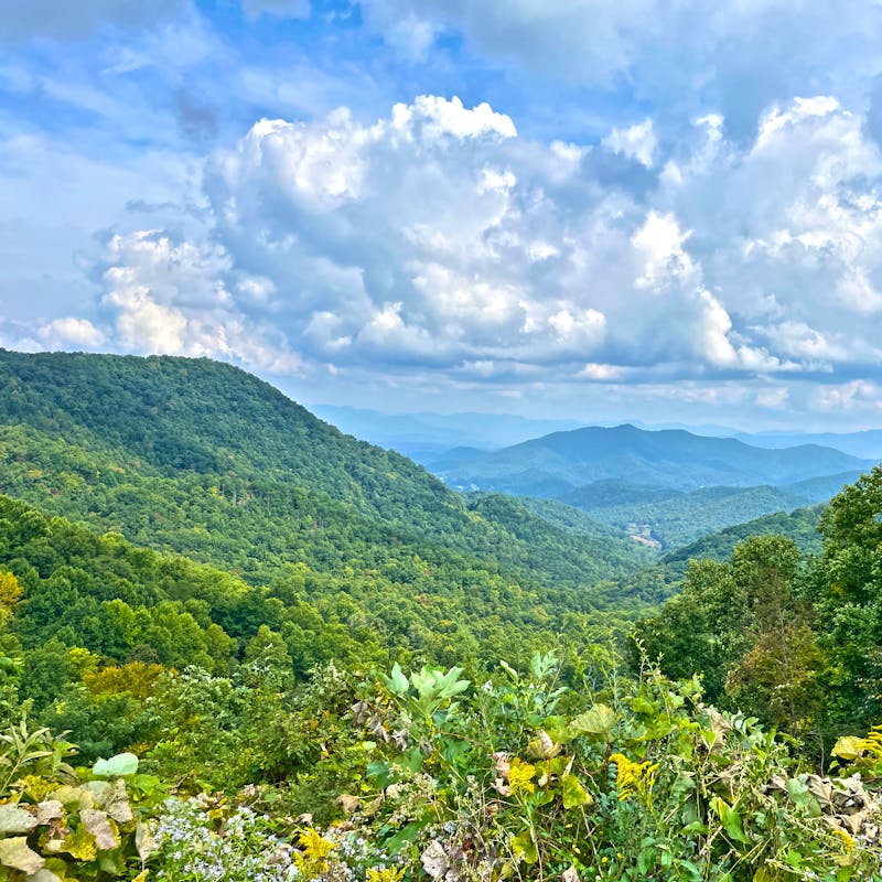 A Mountain Landscape, featuring Nantahala National Forest in North Carolina