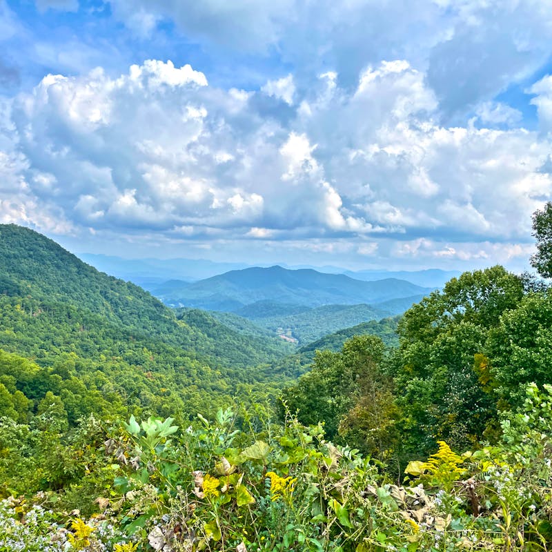 Nantahala-Pisgah