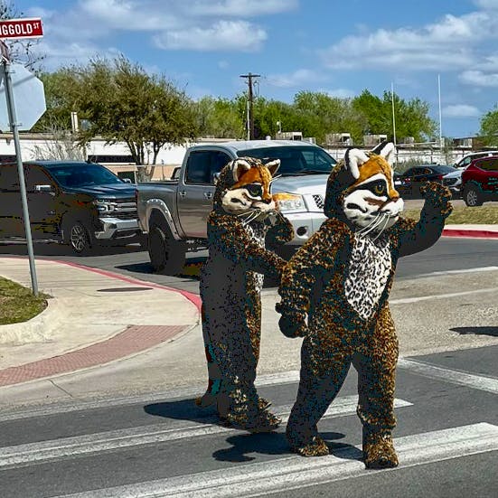 Ocelot Mascots - Ocelot Festival 2023 - Texas - DOW.jpg
