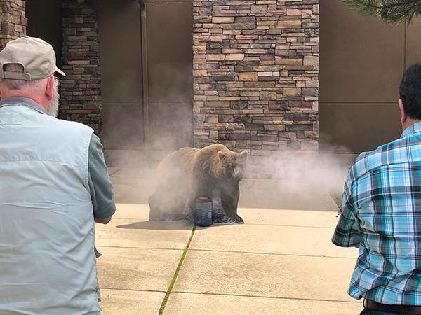 Bear spray training