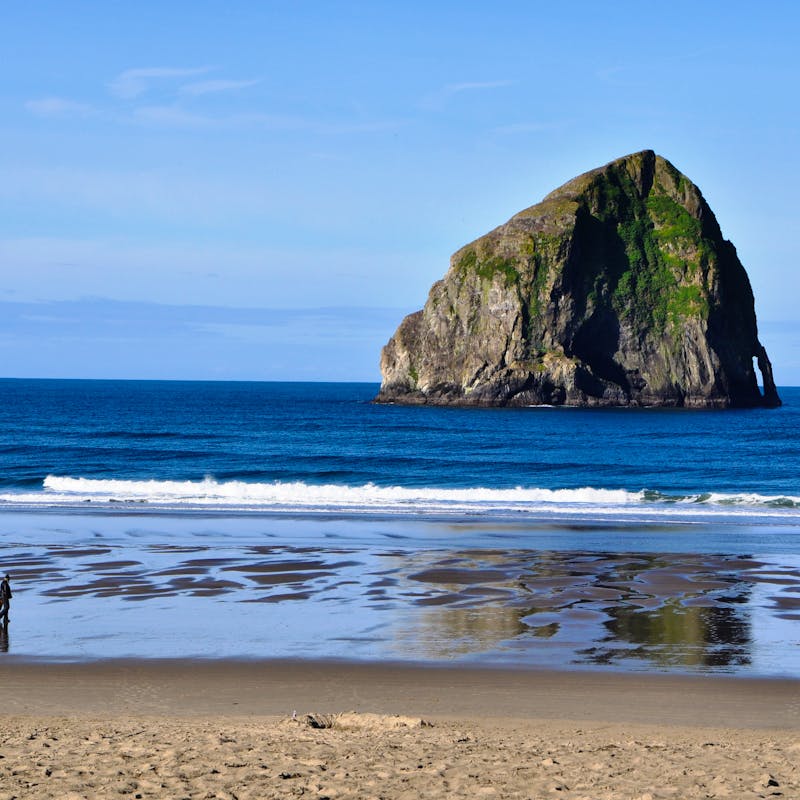 Oregon coast