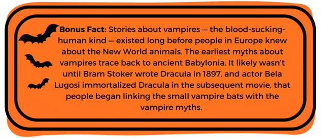 Bat Blog Fact 1