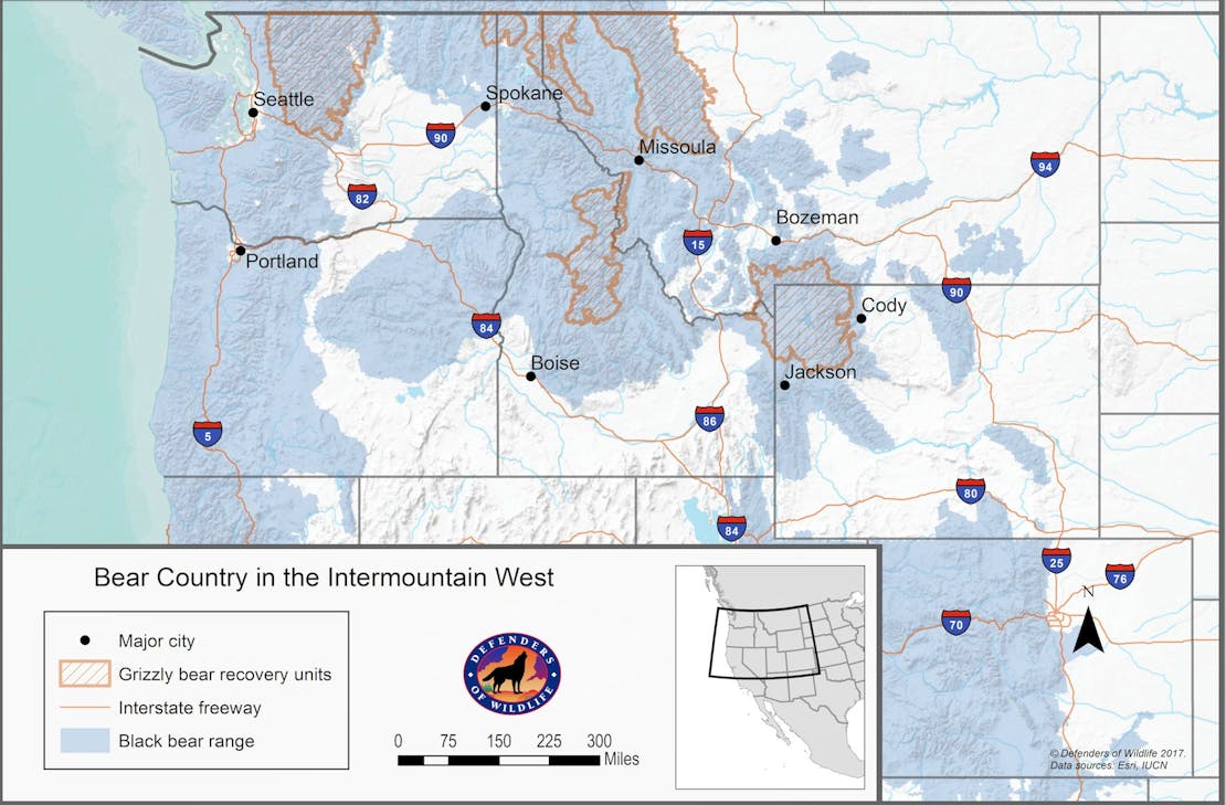 Bear country in the intermountain west