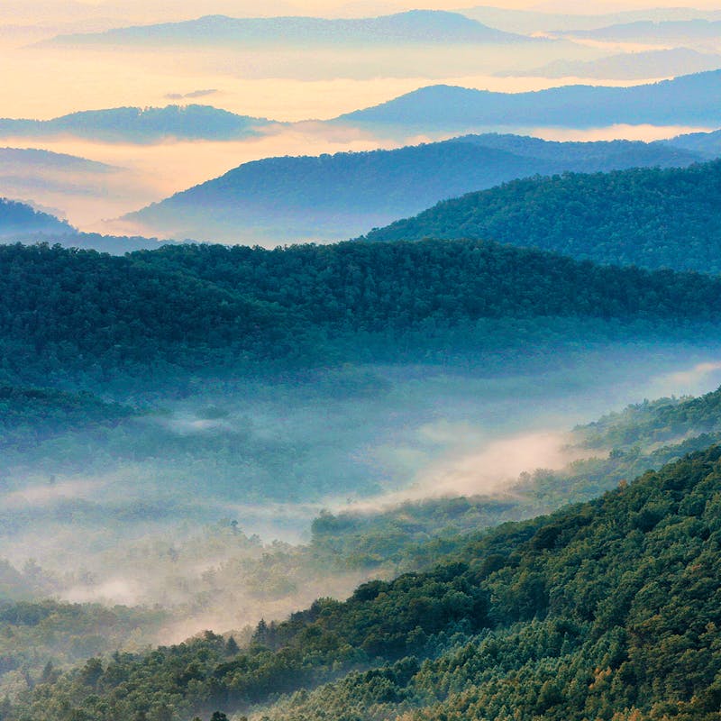 Blue Ridge Parkway View