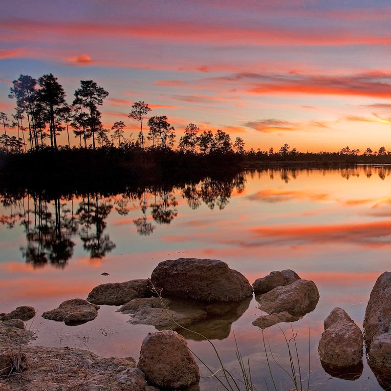 Everglades Pine Glades Lake