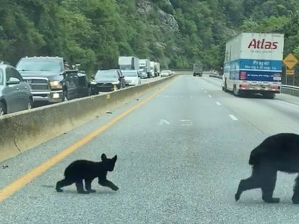 A driver snapped this photo through the windshield at a long and deadly stretch of I-40 outside Great Smoky Mountains National Park.