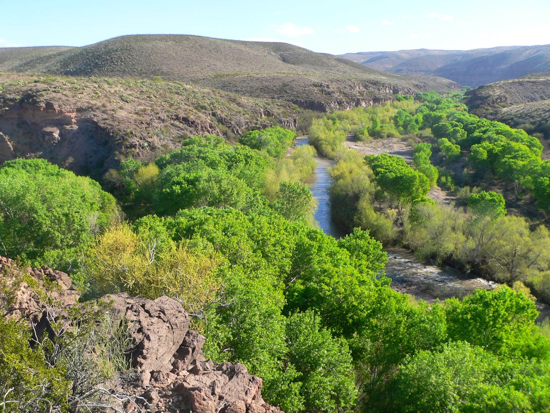 Confluence of Bonita Creek and Gila River in Gila Box Riparian National Conservation Area, in Graham County, Arizona; seen from the vicinity of the Kearny campsite monument. The Gila flows toward the camera, center and left of center; Bonita Creek flows left to right, through the canyon whose far wall is visible behind trees at the right edge of the photo.