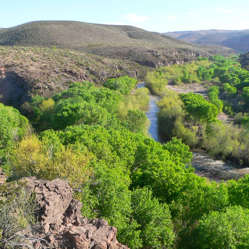 Confluence of Bonita Creek and Gila River in Gila Box Riparian National Conservation Area, in Graham County, Arizona; seen from the vicinity of the Kearny campsite monument. The Gila flows toward the camera, center and left of center; Bonita Creek flows left to right, through the canyon whose far wall is visible behind trees at the right edge of the photo.