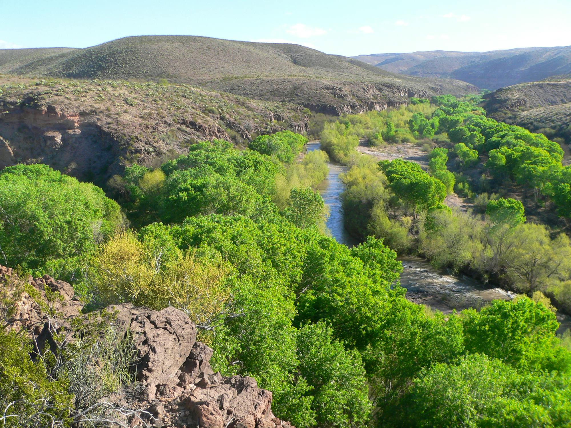Confluence of Bonita Creek and Gila River in Gila Box Riparian National Conservation Area, in Graham County, Arizona; seen from the vicinity of the Kearny campsite monument. The Gila flows toward the camera, center and left of center; Bonita Creek flows left to right, through the canyon whose far wall is visible behind trees at the right edge of the photo.
