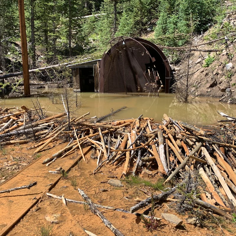 Beaver dam on mine draiange from an abandonded mine near Silverton, CO.