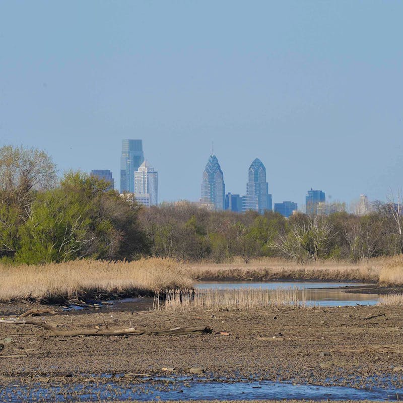 Heinz National Wildlife Refuge with Philadelphia in the background