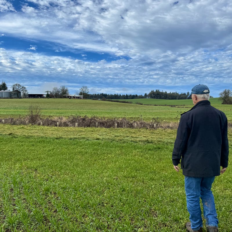 2024.01.11 - Pryor Garnett facing flowering hedgerows on his farm - Oregon - Lucy Lefkowitz/DOW