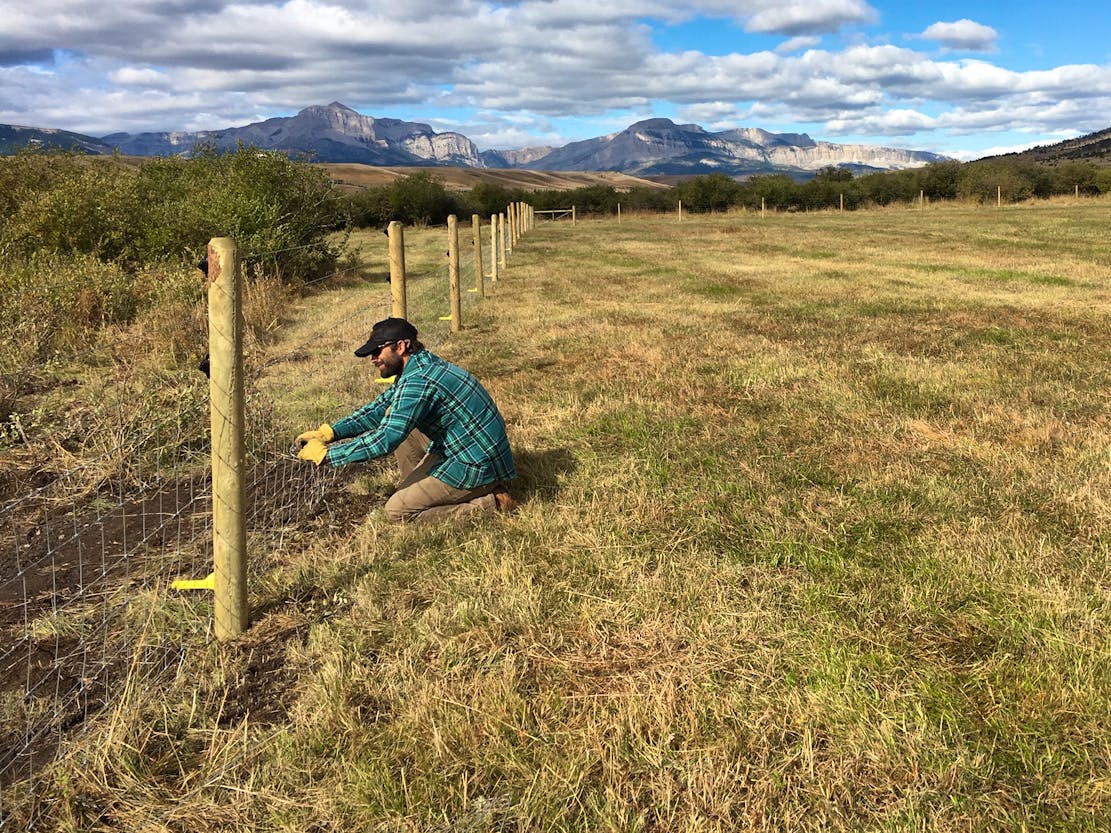 Installing fencing