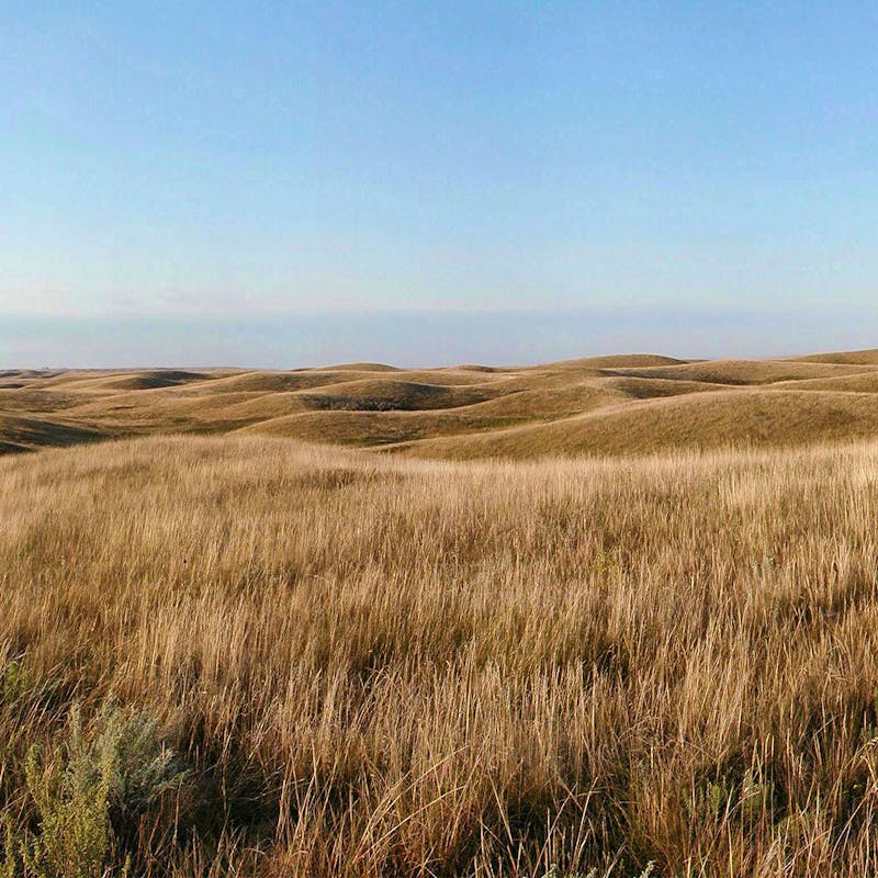 North Dakota Prairie 