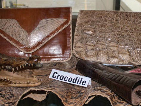 Crocodile skin handbags