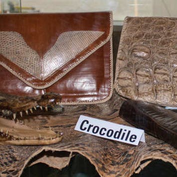 Crocodile skin handbags