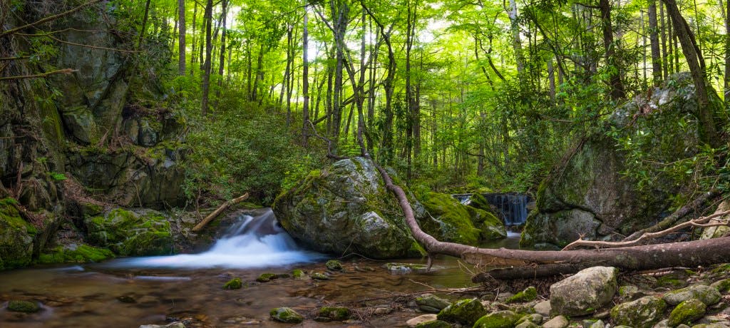 Rocky Fork SP