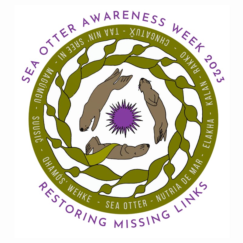 soaw logo