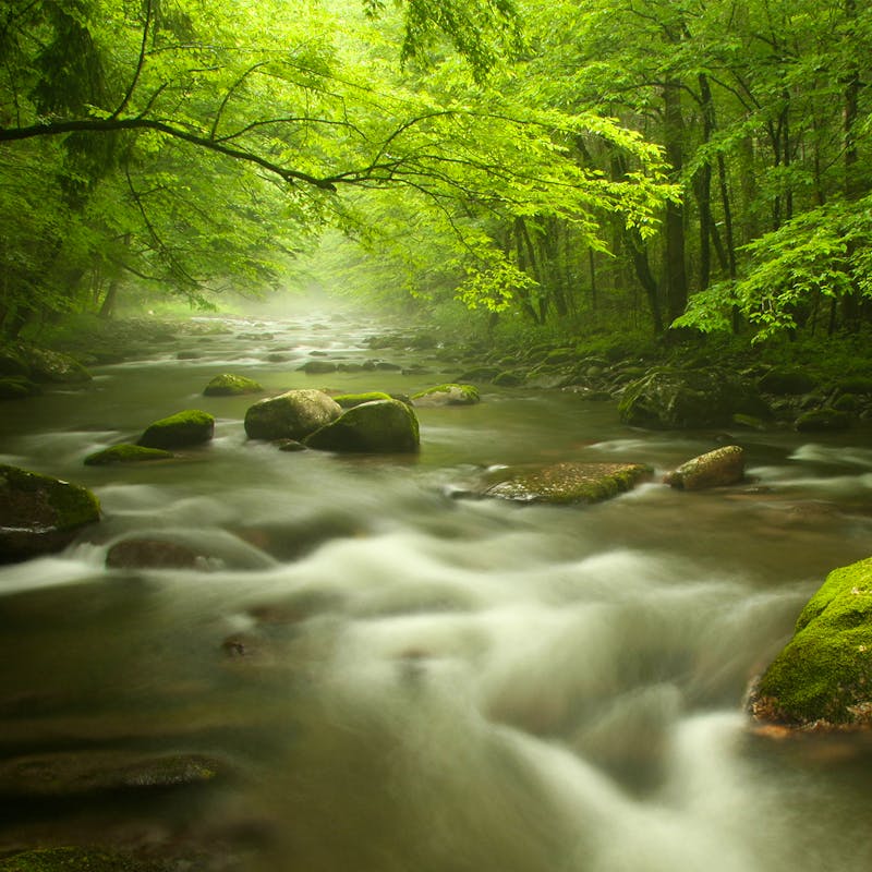 Smoky Mountain NP
