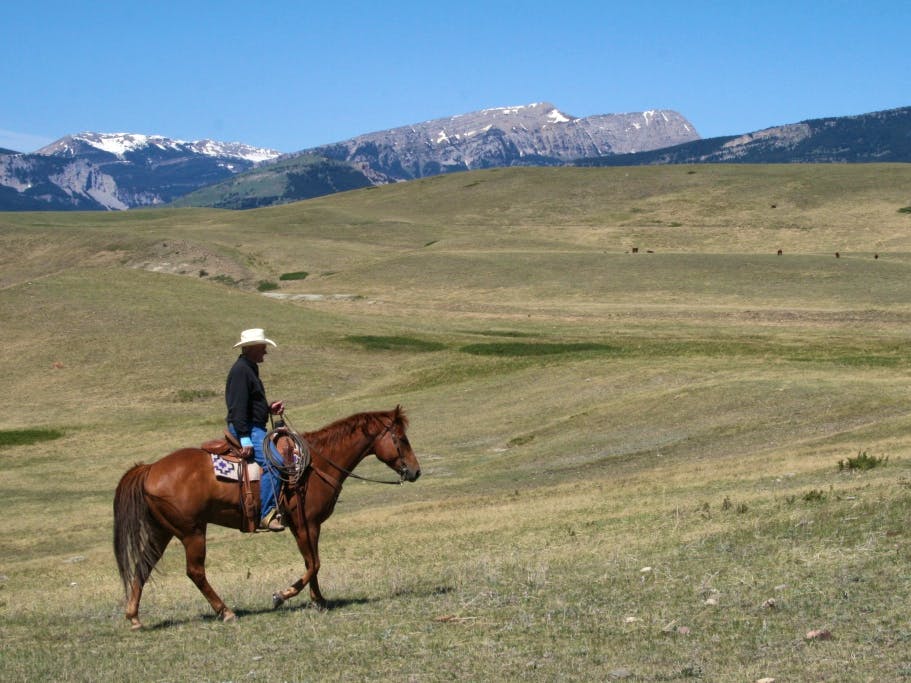 Range rider Montana 