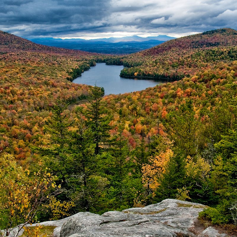 Vermont Forest in Autumn