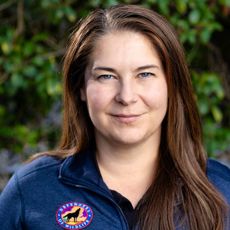 Sharon Wilcox Headshot