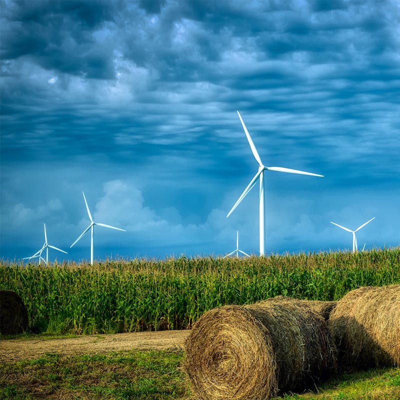 Wind Farm and Field