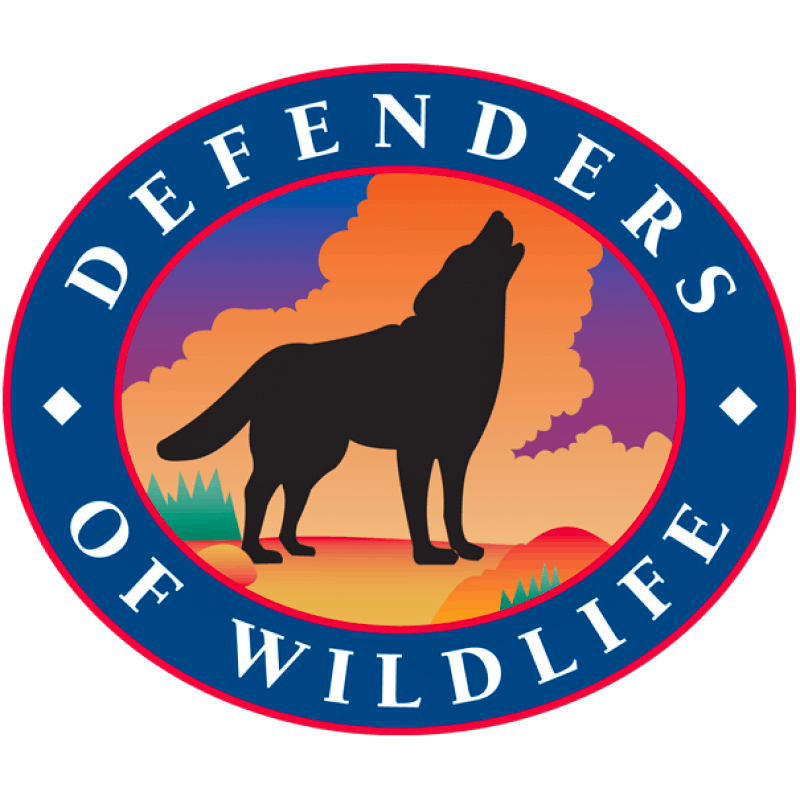 logo icon